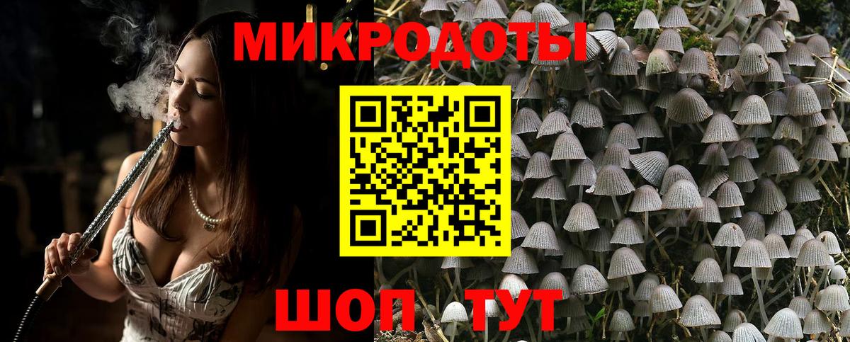 Псилоцибиновые грибы мицелий Пушкино