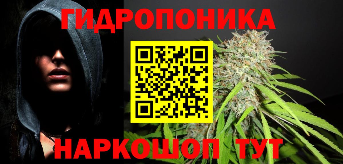 Шишки марихуана конопля Пушкино